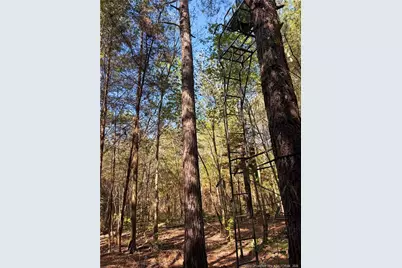 Clark Road, Maxton, NC 28364 - Photo 3