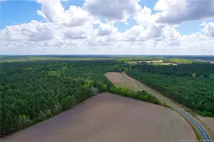 3331 Bogie Island Rd, Fayetteville, NC 28312 - Photo 1