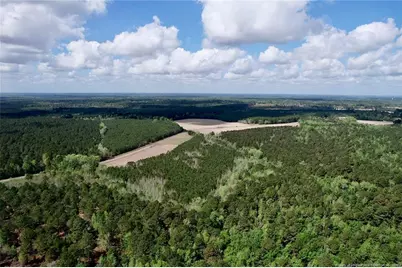 3331 Bogie Island Road, Fayetteville, NC 28312 - Photo 5