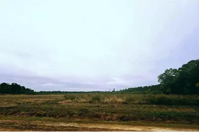 0 Triple B Lane, Autryville, NC 28318 - Photo 1
