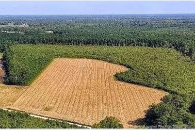 0 Triple B Lane, Autryville, NC 28318 - Photo 3