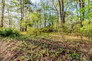 820 Primrose Ln, Sanford, NC 27330 - Photo 31