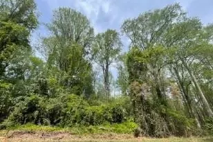 474 N Gaines St, Southern Pines, NC 28387 - Photo 1