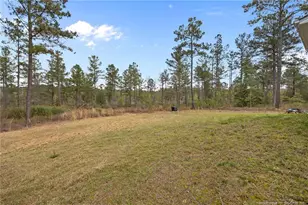 202 Yellow Jacket Trl, Cameron, NC 28326 - Photo 41