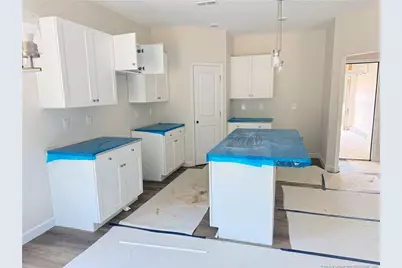 51 Ambrosia (Lot 3) Way, Bunnlevel, NC 28323 - Photo 3