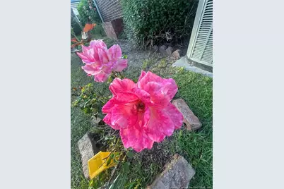 4413 Chesterbrook Drive, Fayetteville, NC 28314 - Photo 23