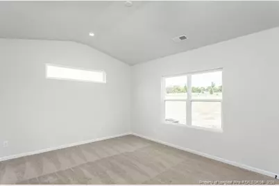 198 Laforce Lane, Broadway, NC 27505 - Photo 11