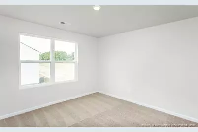 198 Laforce Lane, Broadway, NC 27505 - Photo 27