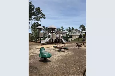 60 Wildlife Bridge Court, Spring Lake, NC 28390 - Photo 25