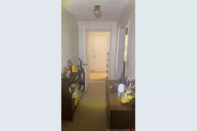 313 W Branch Street, Spring Hope, NC 27882 - Photo 49