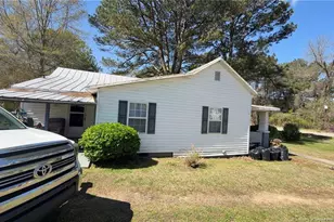 313 W Branch St, Spring Hope, NC 27882 - Photo 7