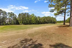 987 Micahs Way N, Spring Lake, NC 28390 - Photo 49