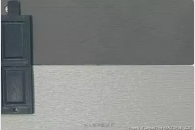 223 Laborde Lane, Raeford, NC 28376 - Photo 3