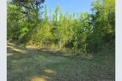 0 Leitha Lane, Godwin, NC 28344 - Photo 25