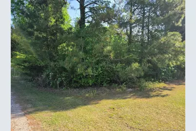 0 Leitha Lane, Godwin, NC 28344 - Photo 13