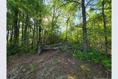 0 Leitha Lane, Godwin, NC 28344 - Photo 19