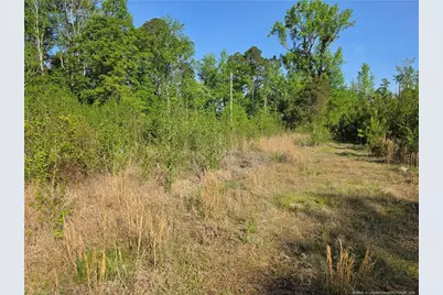 0 Leitha Lane, Godwin, NC 28344 - Photo 27