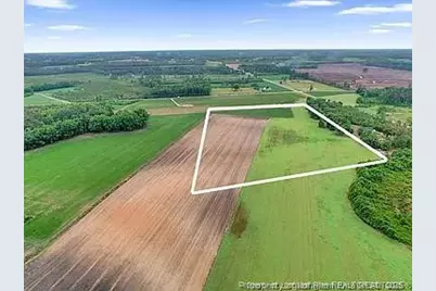 Lot 8 Buie Philadelphus Road, Red Springs, NC 28377 - Photo 3