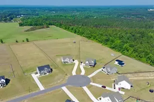 339 Rocking Horse Ln, Raeford, NC 28376 - Photo 43