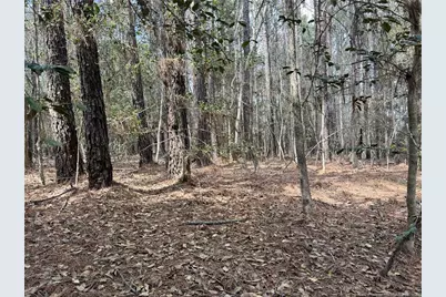 15688 Nc 27 Highway W, Sanford, NC 27332 - Photo 9