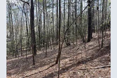 15688 Nc 27 Highway W, Sanford, NC 27332 - Photo 11