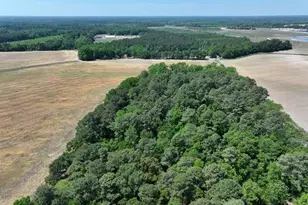 Tbd N Duffie Rd, Red Springs, NC 28377 - Photo 3