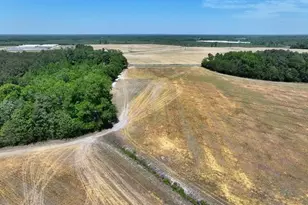 Tbd N Duffie Rd, Red Springs, NC 28377 - Photo 13