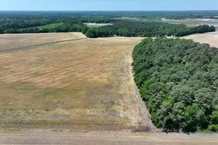Tbd N Duffie Rd, Red Springs, NC 28377 - Photo 5