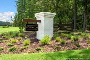 735 Lazy Elm Ln, Aberdeen, NC 28315 - Photo 29