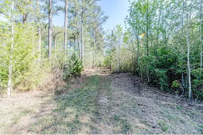 Tbd (9 Acres) Nc 27 W, Lillington, NC 27546 - Photo 19