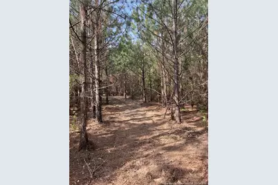 Tbd (9 Acres) Nc 27 W, Lillington, NC 27546 - Photo 23