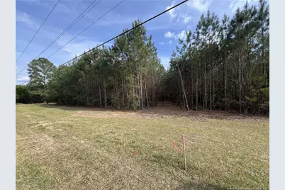 Tbd (9 Acres) Nc 27 W, Lillington, NC 27546 - Photo 31