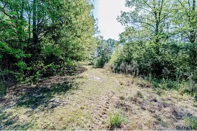 Tbd (9 Acres) Nc 27 W, Lillington, NC 27546 - Photo 25