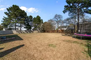 15 Micro Ct, Broadway, NC 27505 - Photo 39