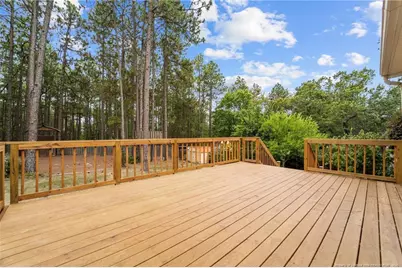 1316 Devonshire Trail, Aberdeen, NC 28315 - Photo 41