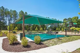 122 Chedworth Dr, Angier, NC 27501 - Photo 29