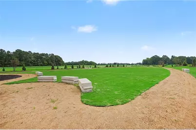 133 Margot Manor Drive, Benson, NC 27504 - Photo 37
