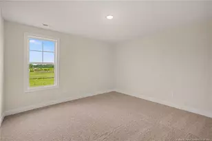 117 Margot Manor Dr, Benson, NC 27504 - Photo 29