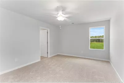 100 Franklin Landing Drive, Pikeville, NC 27863 - Photo 19
