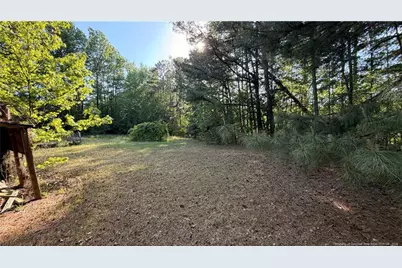1012 Dycus Road, Sanford, NC 27330 - Photo 3
