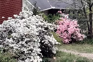 434 Derose Dr, Fayetteville, NC 28311 - Photo 35