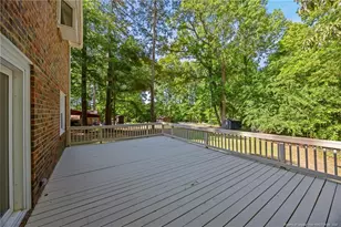 3311 Green Valley Dr, Sanford, NC 27330 - Photo 41