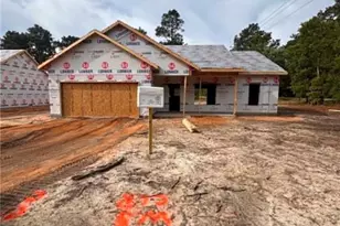 310 Libby Ln, Pinebluff, NC 28373 - Photo 29