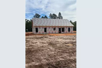 320 Libby Lane, Pinebluff, NC 28373 - Photo 3