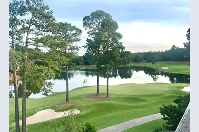 5 Royal Birkdale Court, Southern Pines, NC 28387 - Photo 41