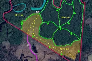 52 Acres River Access, Lumberton, NC 28360 - Photo 1