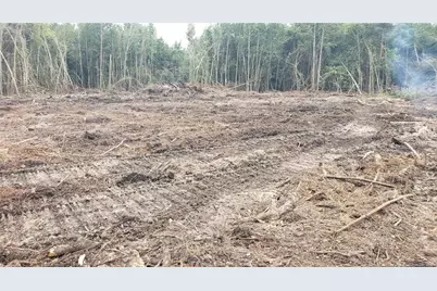 52 Acres River Access, Lumberton, NC 28360 - Photo 13