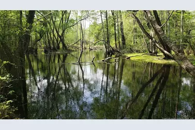 52 Acres River Access, Lumberton, NC 28360 - Photo 9