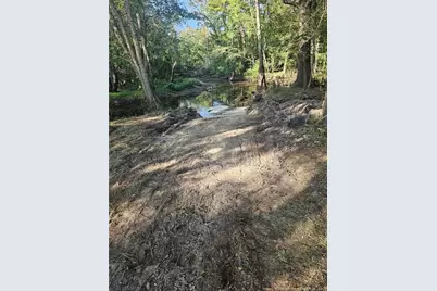 52 Acres River Access, Lumberton, NC 28360 - Photo 19
