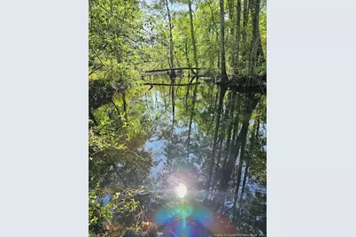 52 Acres River Access, Lumberton, NC 28360 - Photo 11
